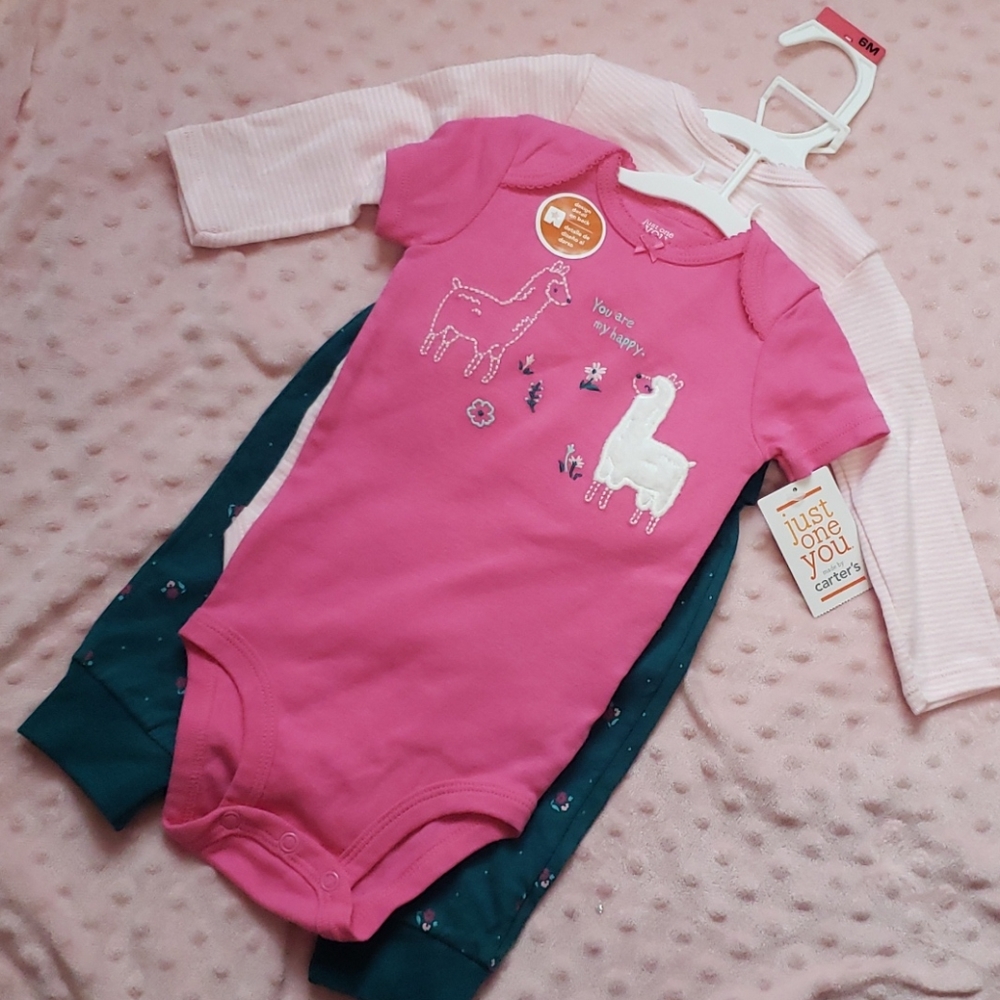 Carter's 3 piece outfit llama floral